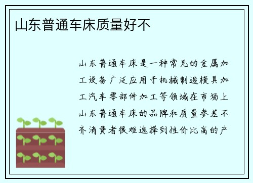 山东普通车床质量好不